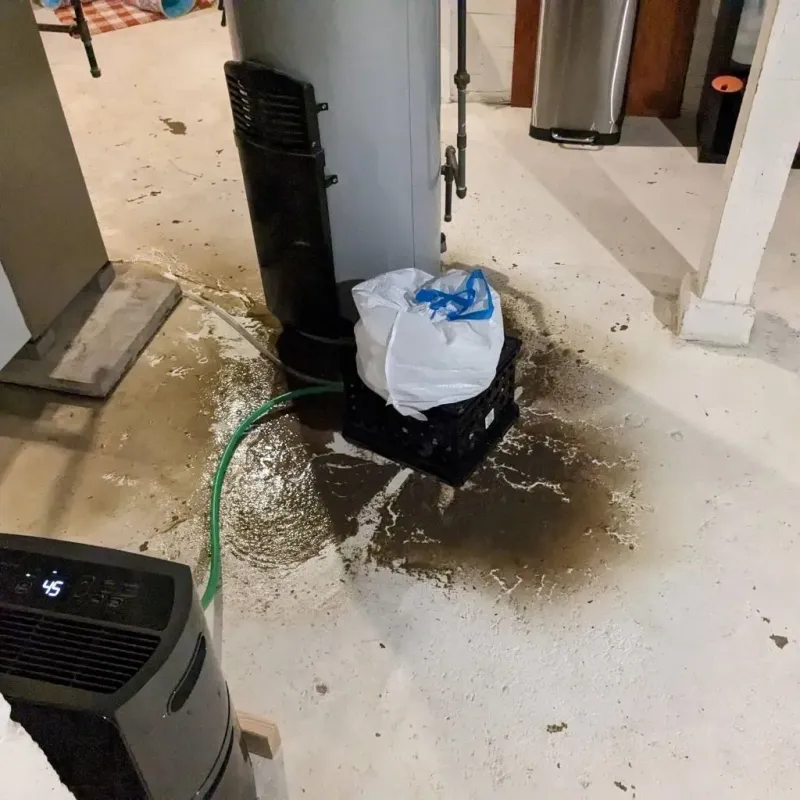 Sewage Backup Cleanup Service in Atkins, IA